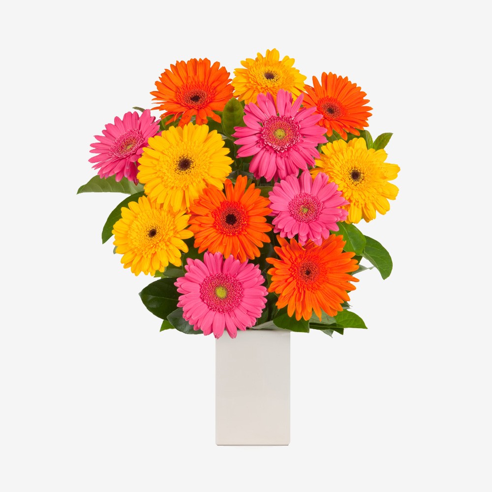 hydrangea-12.jpg hydrangea-12.jpg