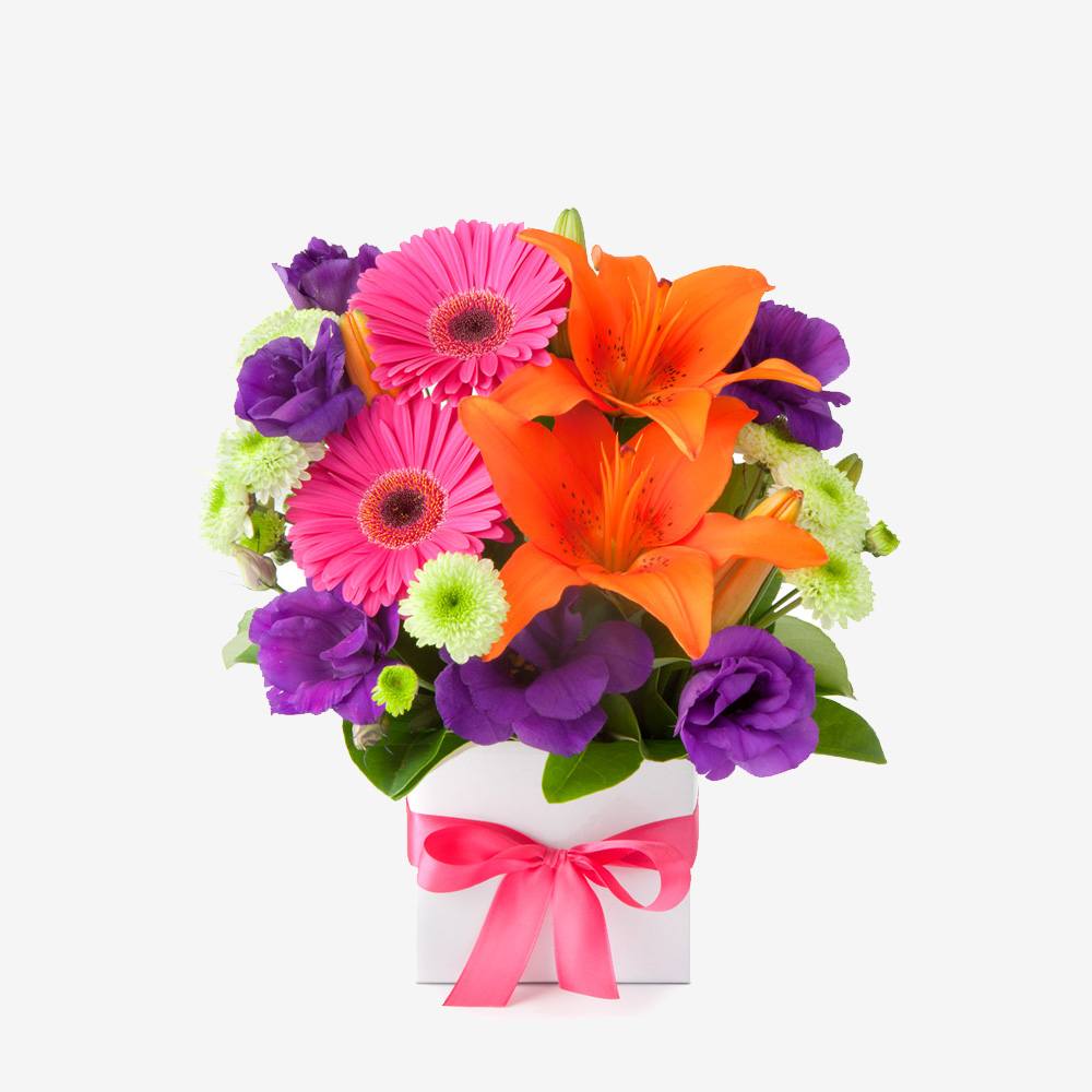 hydrangea-13.jpg hydrangea-13.jpg