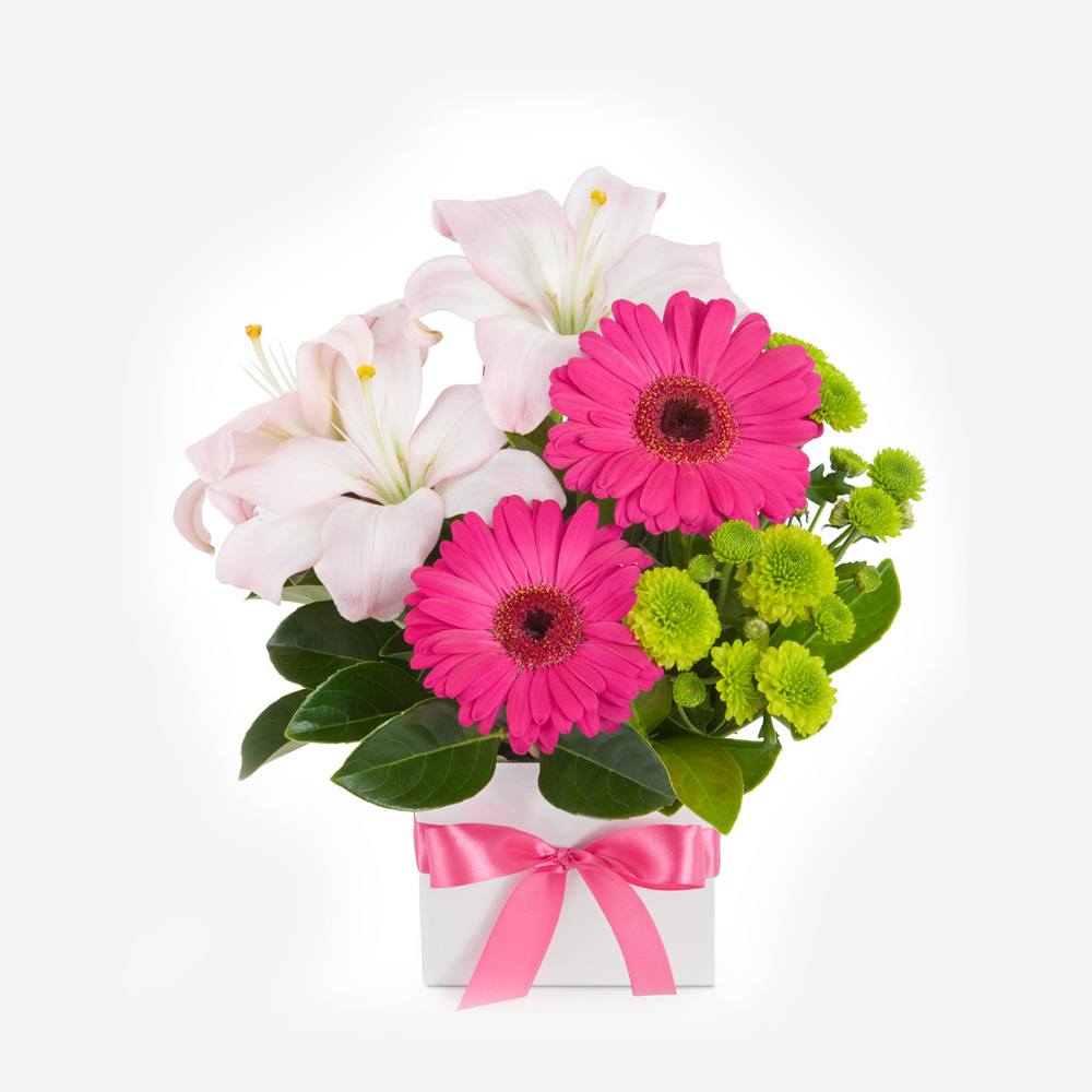 hydrangea-26.jpg hydrangea-26.jpg