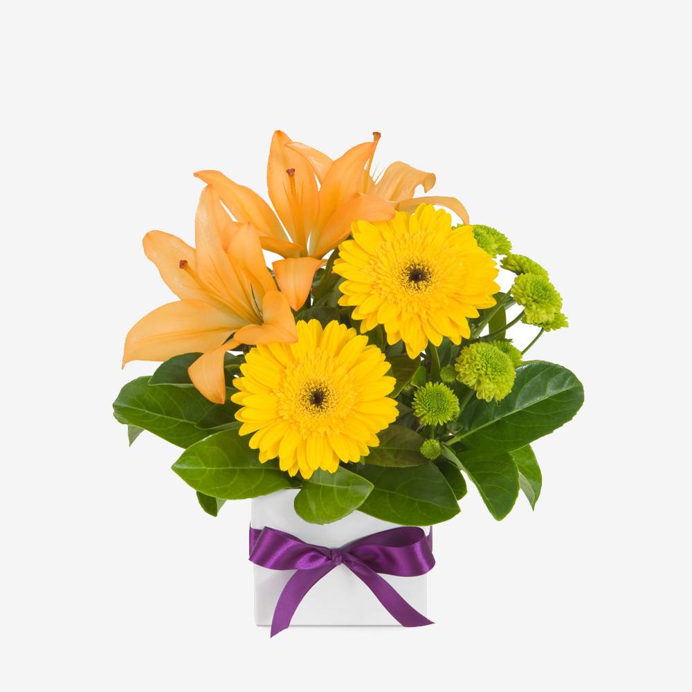 hydrangea-3.jpg hydrangea-3.jpg