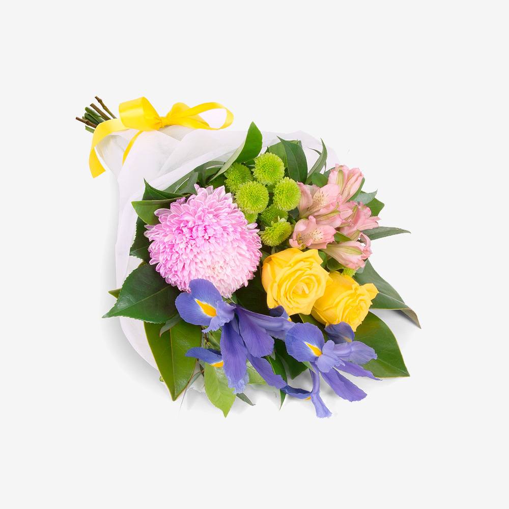 hydrangea-4.jpg hydrangea-4.jpg