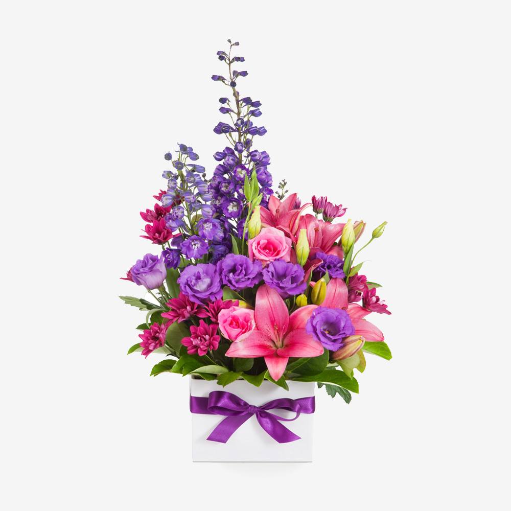 hydrangea-5.jpg hydrangea-5.jpg